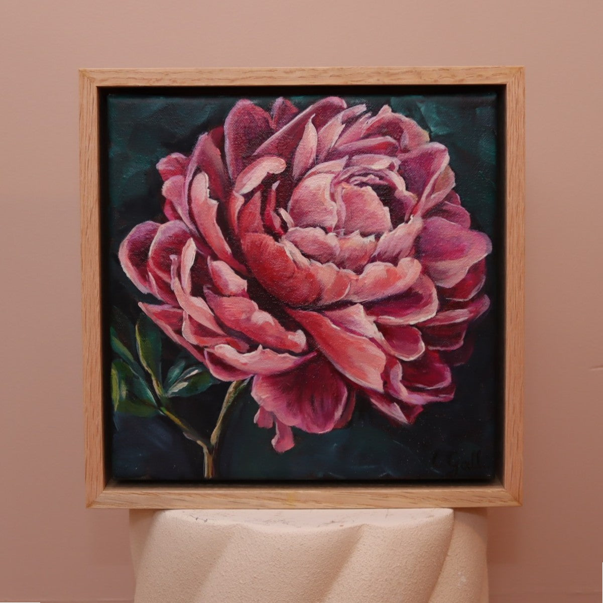 Winter Peony