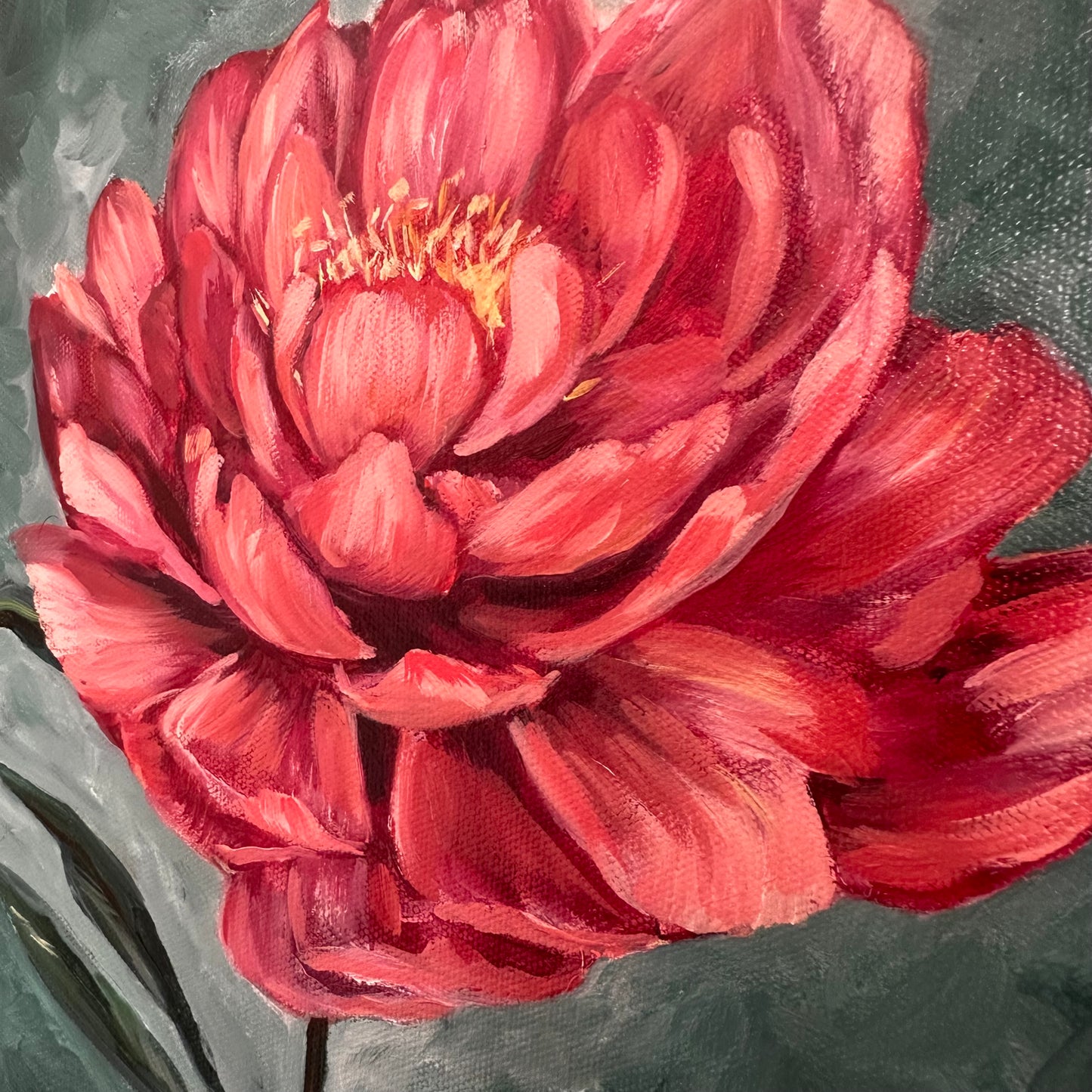 Red Peonie
