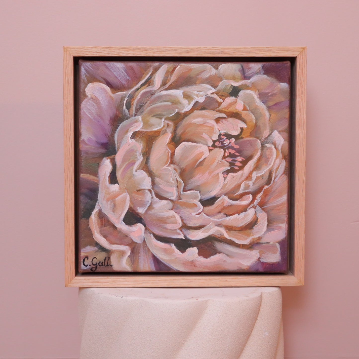 Warm Winter Peony Petals