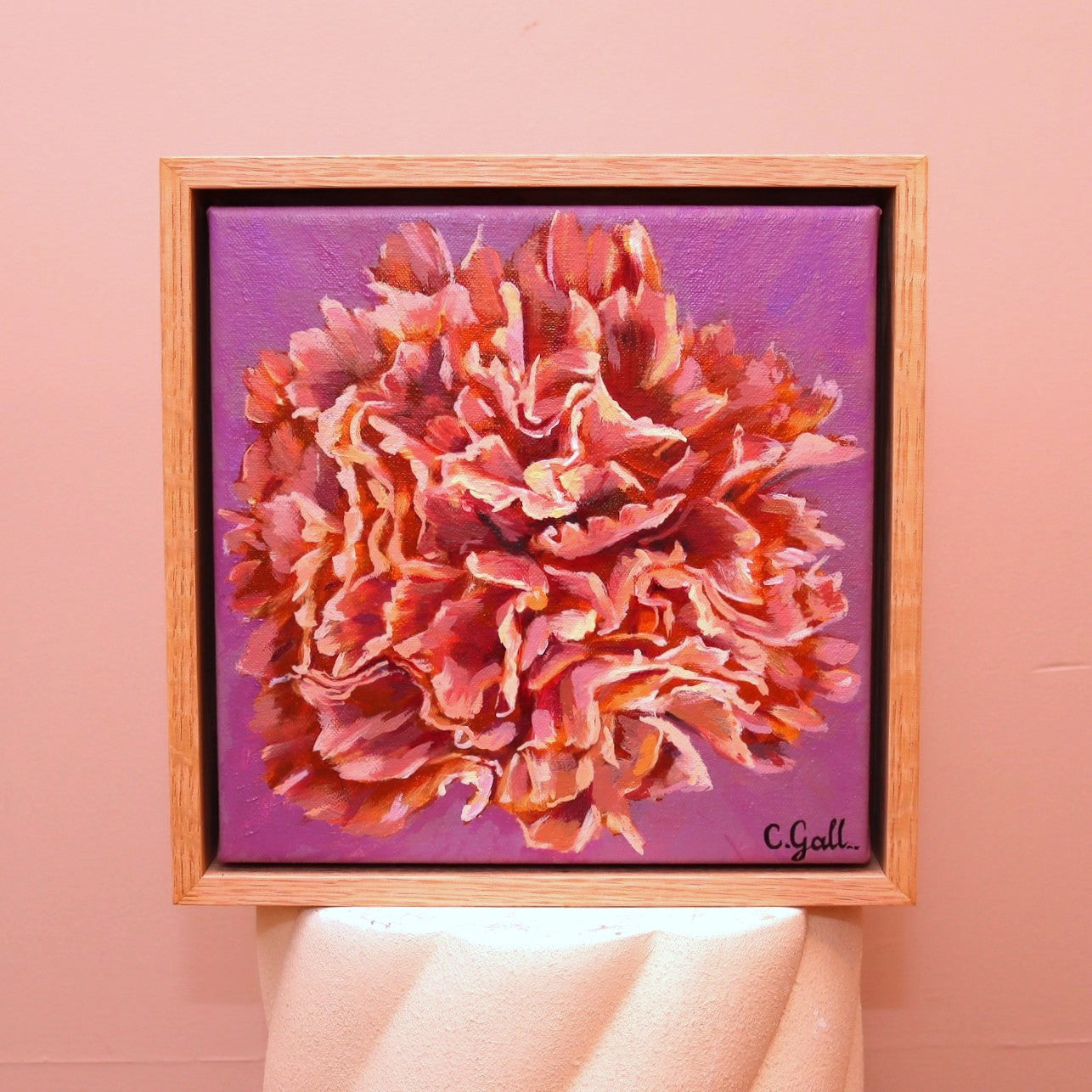 Winter Carnation