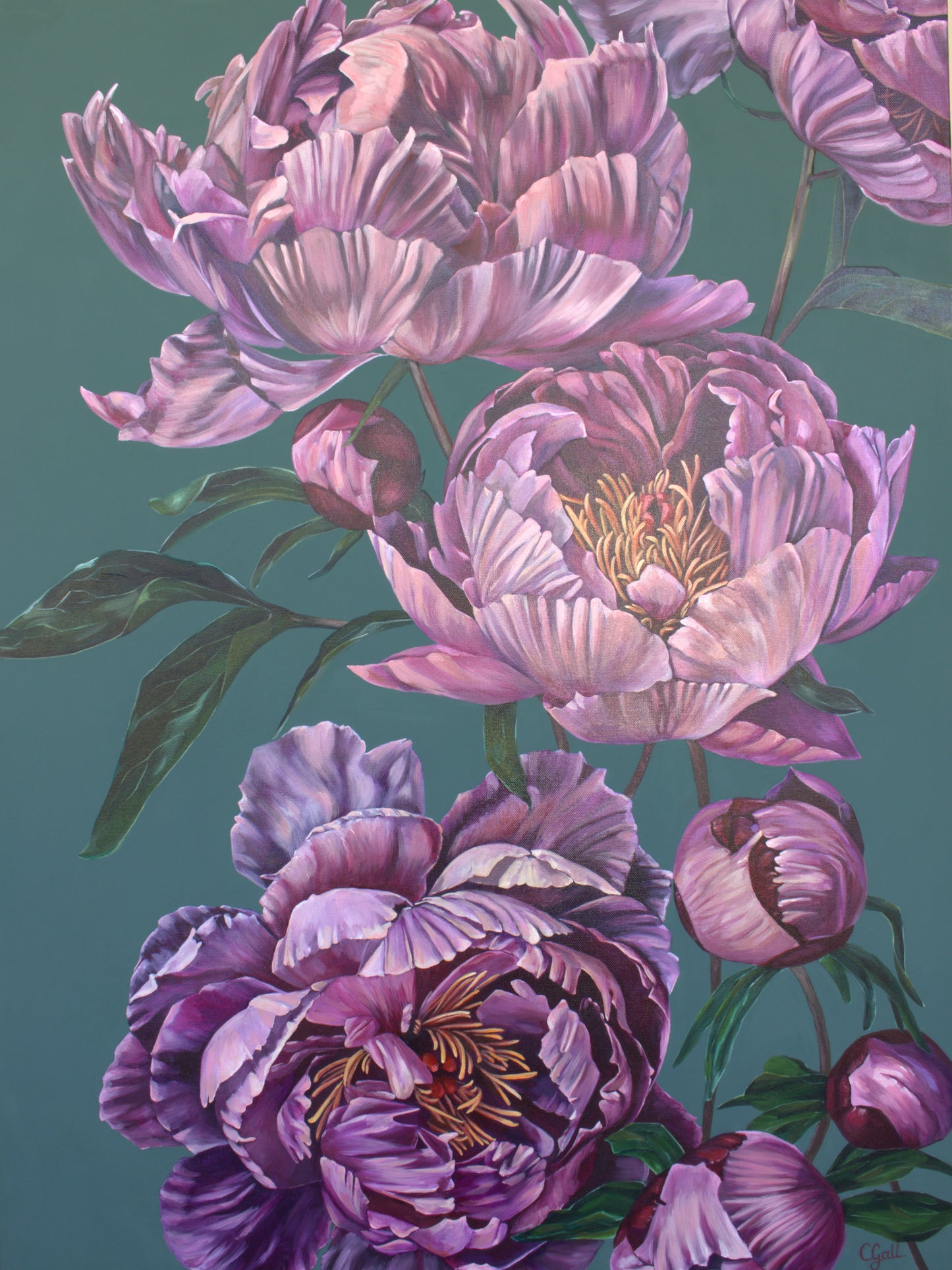 Love in full bloom