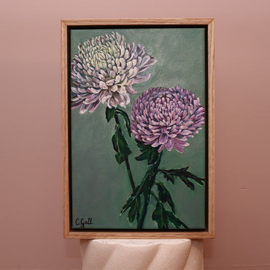 Winter white & pink Chrysanthemum