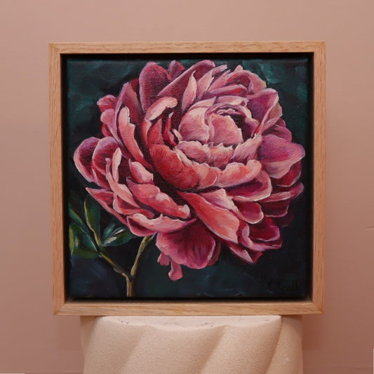 Winter Peony